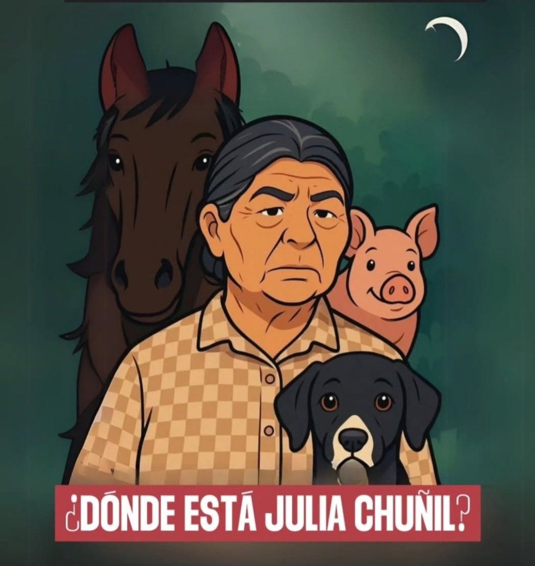 1. ¿Dónde está Julia Chuñil Catricura y su perro Cholito?
2. ¿Quién envenenó a su caballito? 
3. ¿Quién baleó a su chanchito?
😾 👇