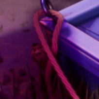 IS THAT..?!?? man looks rough god bless him ☹️🫶