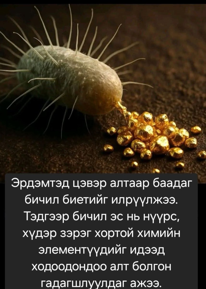 2Sandui's tweet image. Аштай юу🤣