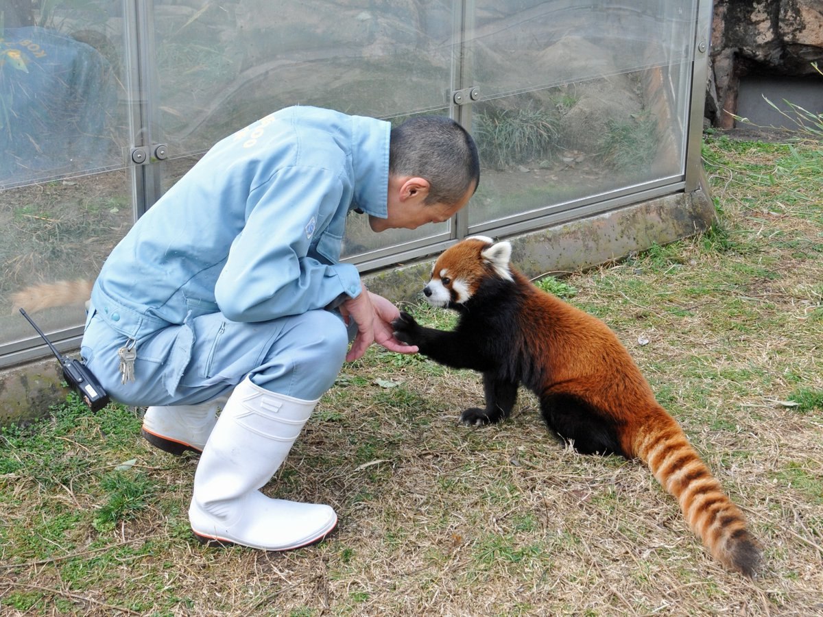 HourlyWah's tweet image. [🔗](api.tinyfox.dev/hourly/wahs/ph…)