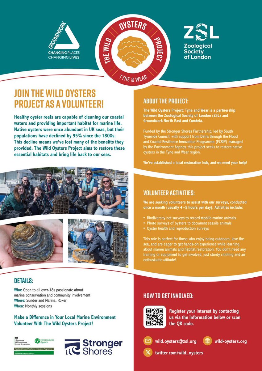 Volunteer Centre Newcastle (@vcnewcastle) on Twitter photo π¦ͺ Volunteer with the Wild Oysters Project in Sunderland!
Join their free monthly sessions at Sunderland Marina, where you can gain hands-on experience in marine science, support local biodiversity, and build valuable STEM skills.
To get involved, email wild.oysters@zsl.org π¦ͺ Volunteer with the Wild Oysters Project in Sunderland!
Join their free monthly sessions at Sunderland Marina, where you can gain hands-on experience in marine science, support local biodiversity, and build valuable STEM skills.
To get involved, email wild.oysters@zsl.org