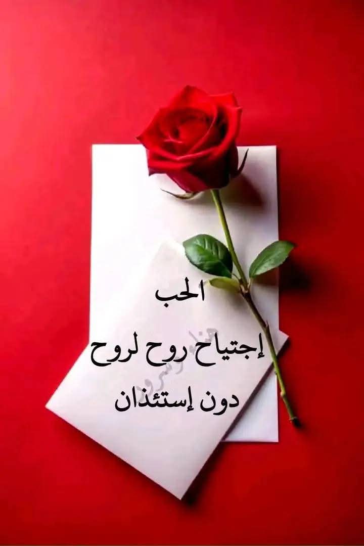 williamsuzy's tweet photo. نحن لا نختار لحظة الحب ..
ولا نختار مَن نحب... 
الحب قدر.. 
يأتي بلحظة.. بصدفة.. بغمضة عين
بلا تبرير.. بلا منطق.. بلا موعد
هو الأجمل، رغم عذابه... 
هو الأصدق، رغم أوجاعه... 
الحب.. سر الحياة... 
الإكتفآء في الحبَ ، يجعلك تكتفي بمنَ تعشق حتى ولو كان بعيـدًا  فلنَ ترى أحد غيره... https://t.co/T7qetq4Zhh