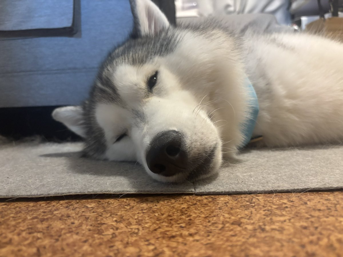 rn2312412's tweet image. 