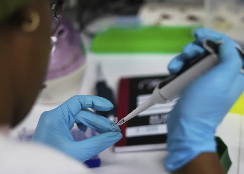 globalcmrpt's tweet image. US aid cuts halt HIV vaccine research in South Africa, with global impact ow.ly/NU4U50Wup62 @Dr_JeanKaseya @AfricaCDC  @BUCEID @ResolveTSL @DrTomFrieden @BhadeliaMD @BhadeliaMD @WHOAFRO