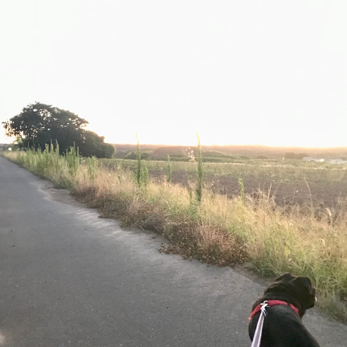 そんな体勢になってまで何を探しているのか？ｺﾚｶﾞﾜｶﾗﾅｲ