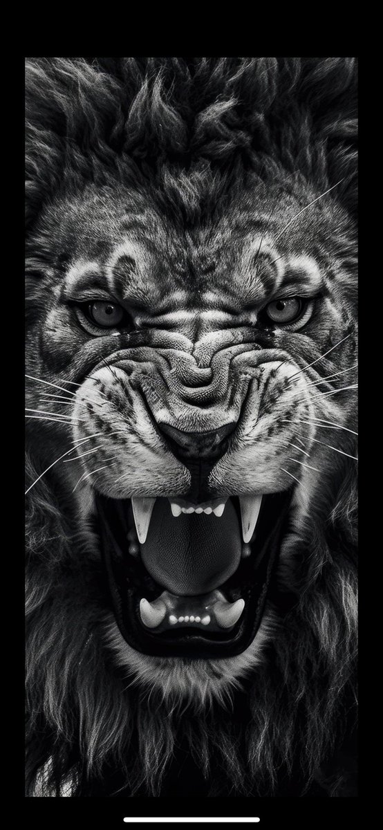 TheCoachLj's tweet image. No more dead periods.. countdown to season 2025 kickoff!! @DubCFootball π¦ππ₯