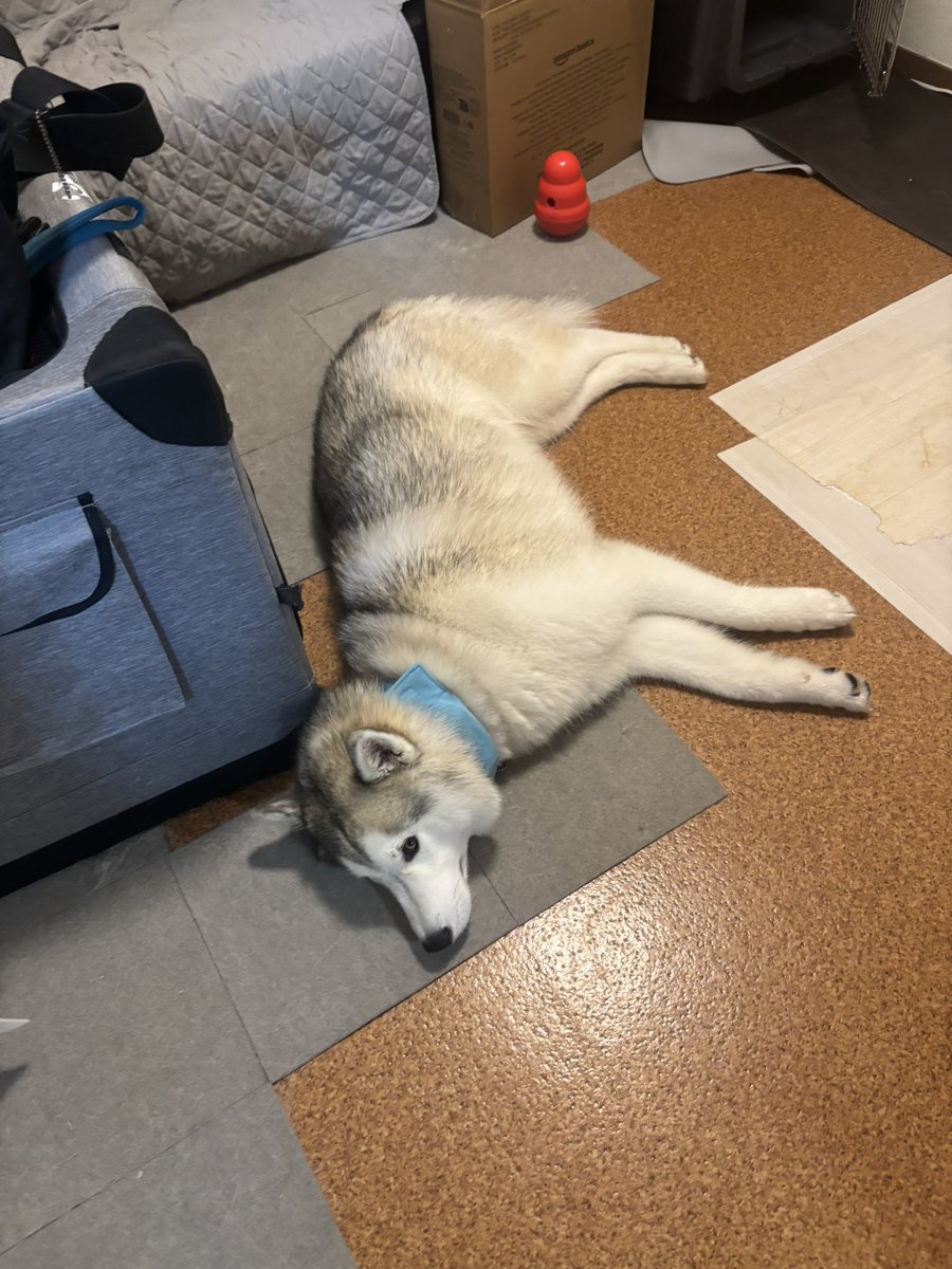 rn2312412's tweet image. 