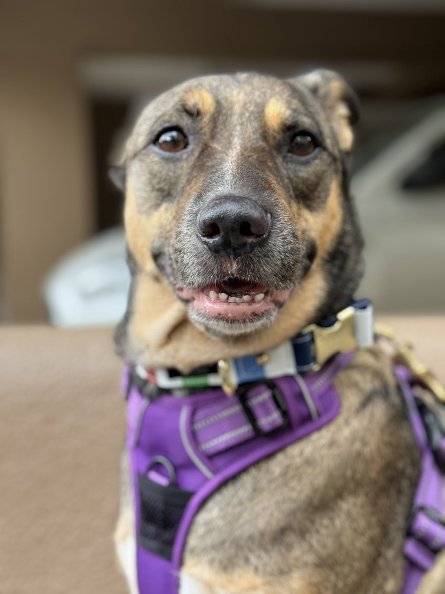 Bappi Rao tweet media