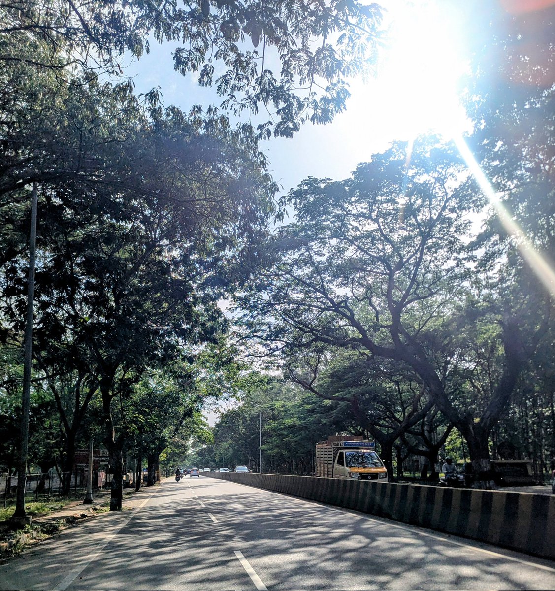 siri_mysuru's tweet image. Evening light✨
#CandidMysuru