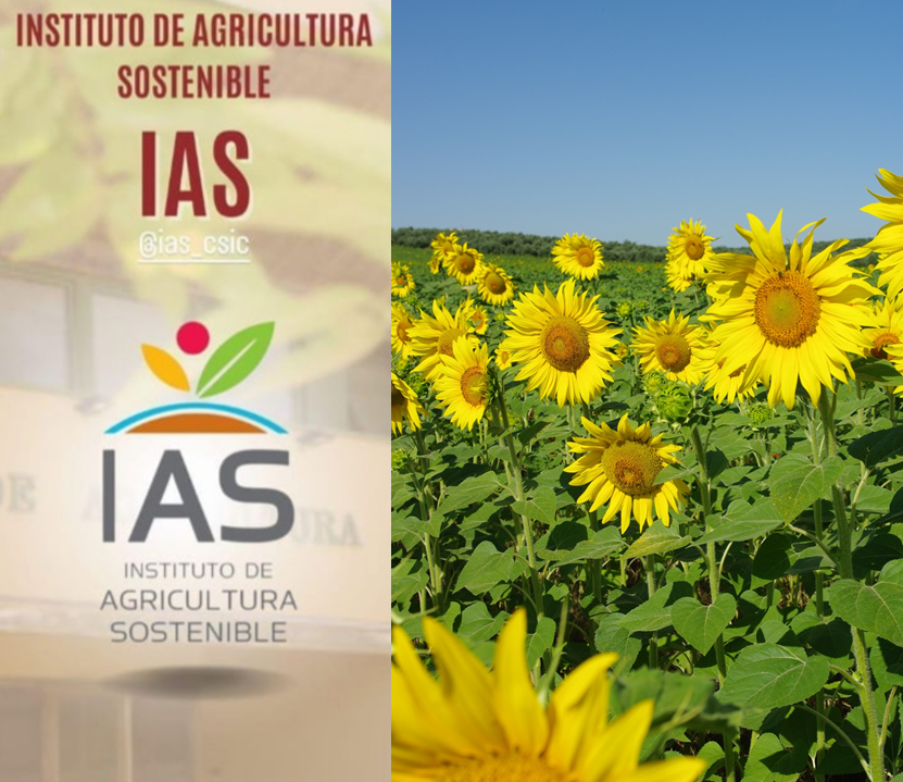 IAS_CSIC's tweet image. ¡Buenos días! 🌿🌻🦠🔬 🛩️🌾🌳💦
Esta semana damos la bienvenida a: @MafherFernandez, @Sav_Cardenas, @KaremMezaC, @Ca97458745Karol, @MghariHamza, @AGROENG_UdG, @valbiolig, @pierrezevallos y @aylin_kabas
👋👋 ¡Gracias por seguirnos! 👋👋
#cienciaparalaagricultura