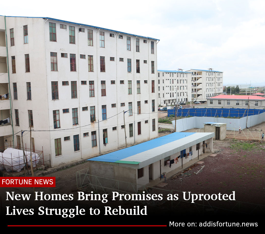 addis_fortune's tweet image. #UrbanResettlement On the edge of Addis Abeba, Gelan Gura rises each day to a new reality.
Read more - ow.ly/aF3550WvVnb
