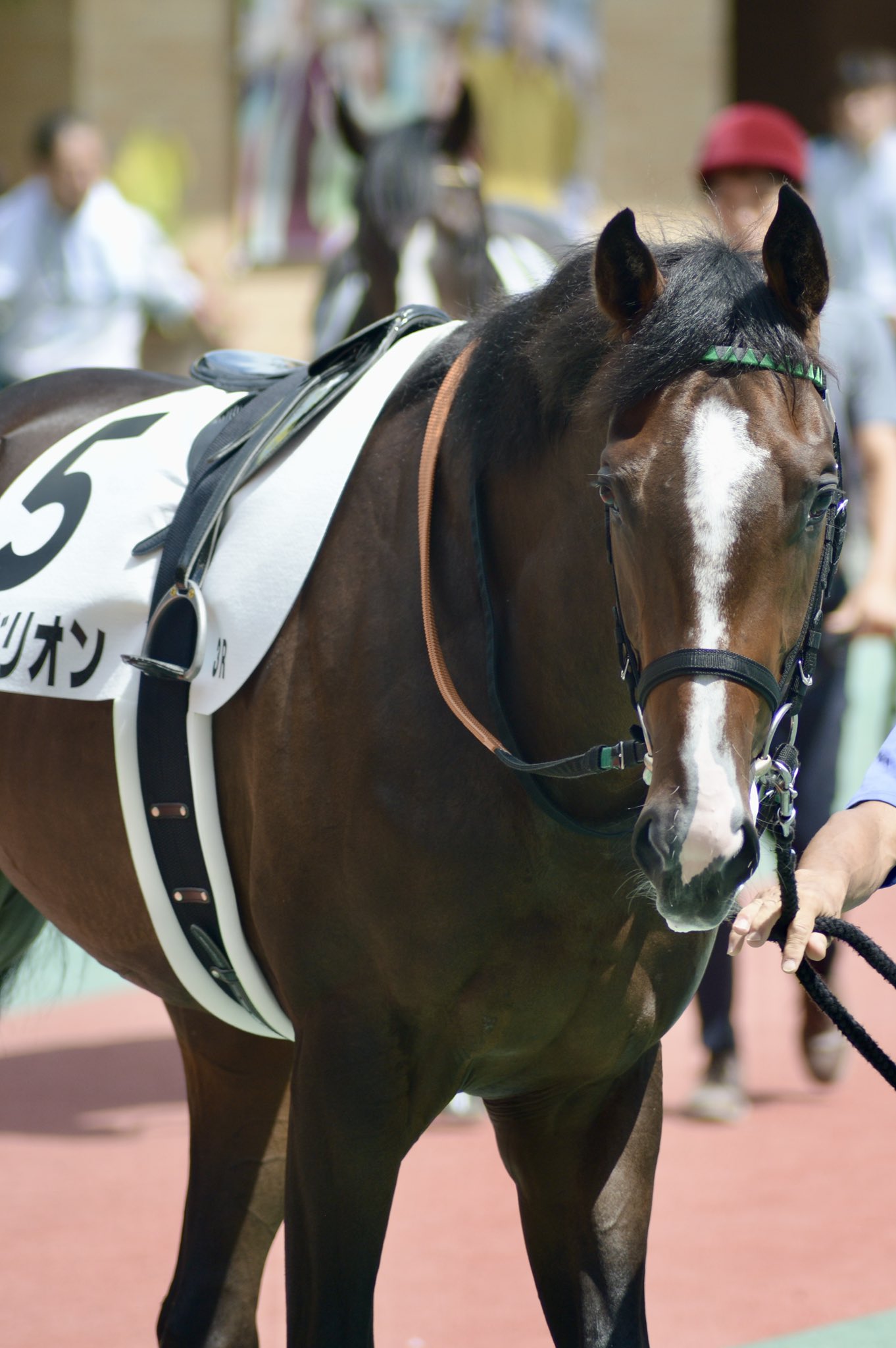 舞夢🐎🎀 on X: 