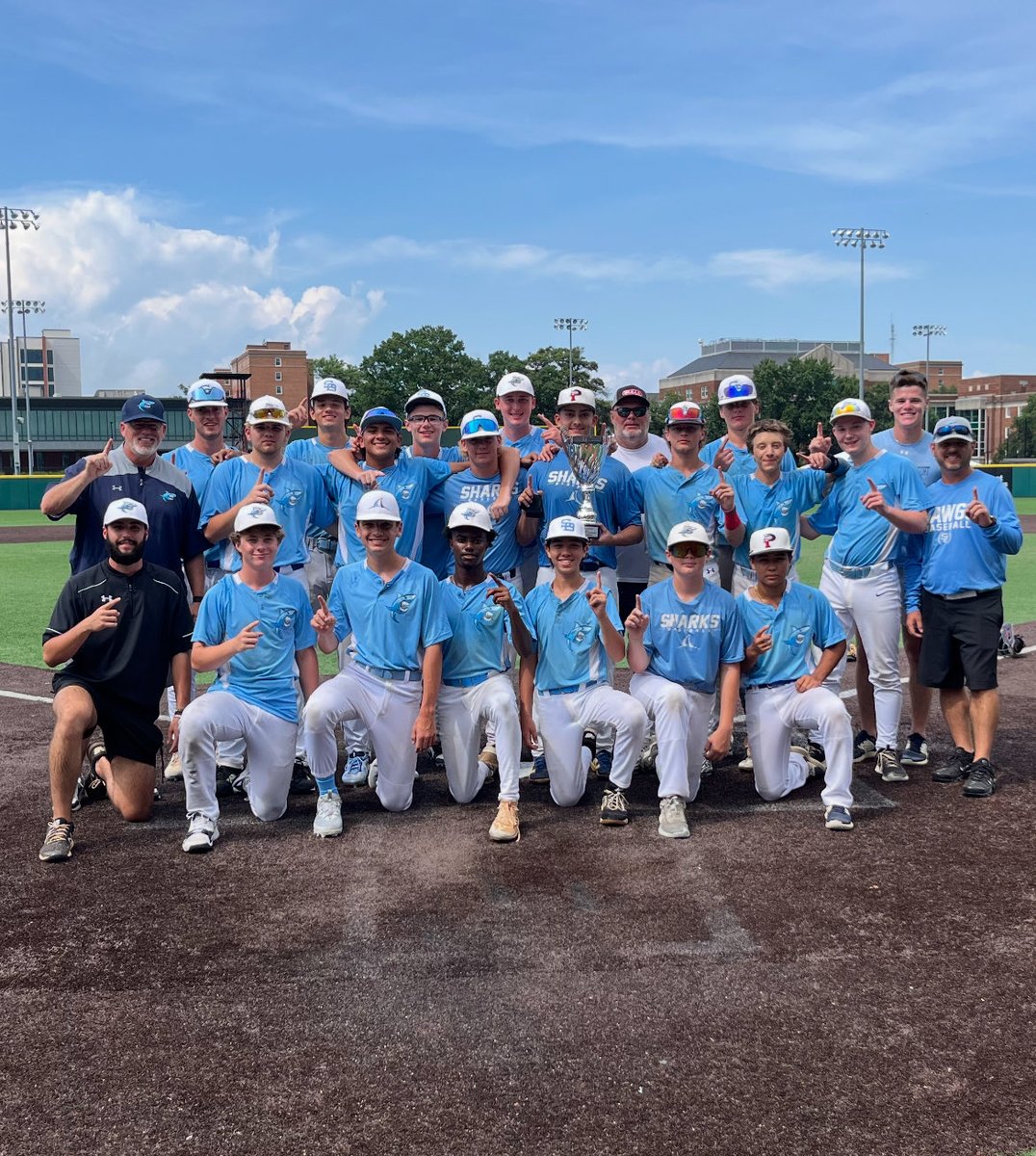 Dynamic Baseball tweet media