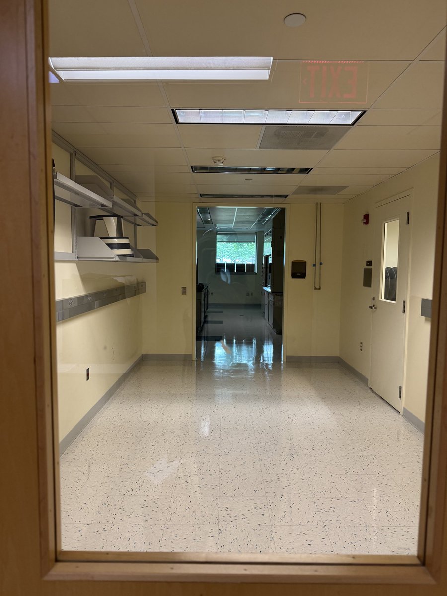 Aya Osman, PhD (@ayaosman) on Twitter photo Official announcement: this September 1, the Osman laboratory will be opening its doors in the biological sciences department at SUNY, Albany!
Anyone interested in joining the lab, please contact me.
aosman@albany.edu
Lab website coming soon!
<a href="/ualbany/">University at Albany</a> Official announcement: this September 1, the Osman laboratory will be opening its doors in the biological sciences department at SUNY, Albany!
Anyone interested in joining the lab, please contact me.
aosman@albany.edu
Lab website coming soon!
<a href="/ualbany/">University at Albany</a>