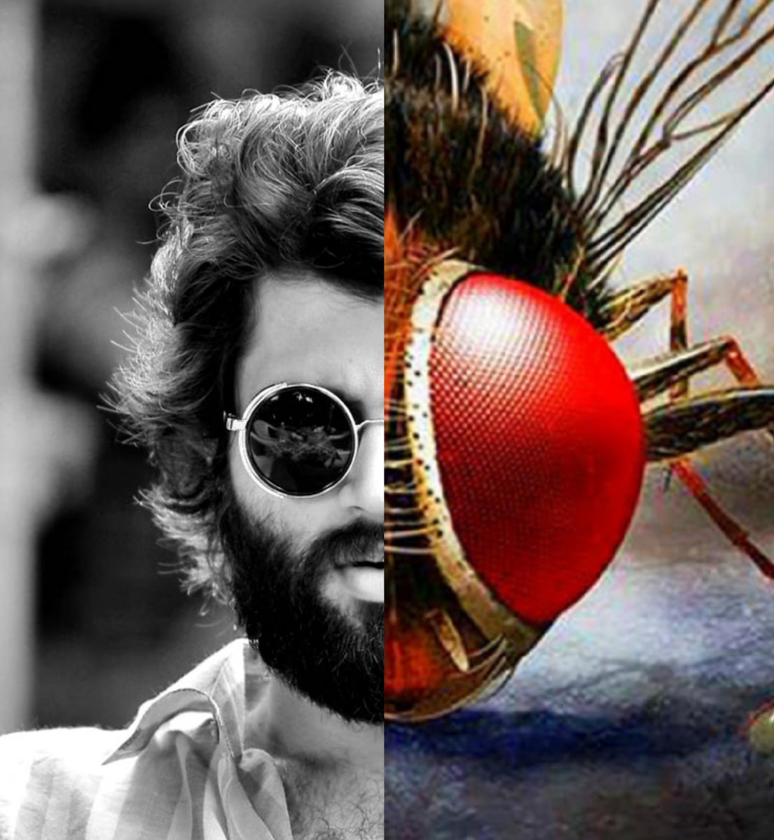235Shashi's tweet image. I&apos;m a vanga-mouli-ist