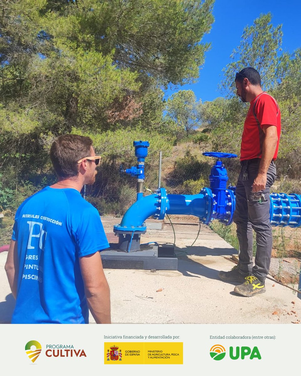 RAICES_info's tweet image. 🔝 El #ProgramaCULTIVA te ofrece la posibilidad de aprender mucho en pocos días. ¡Qué se lo digan a Jesús Arastey! 😎💯

Además de Agrobayo, explotación referente en producción integrada en #Valencia, ha podido visitar la Comunidad de regantes El Palmeral 💦