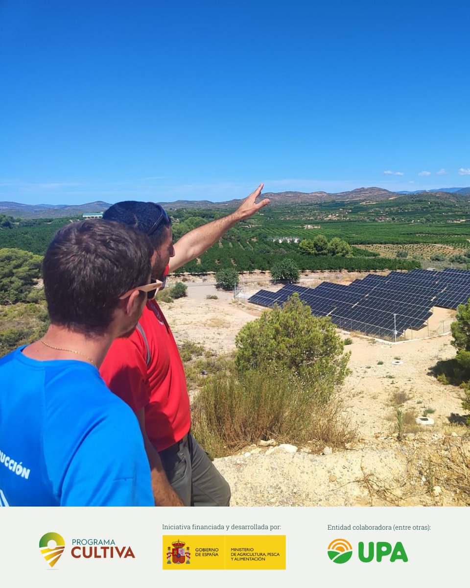 RAICES_info's tweet image. 🔝 El #ProgramaCULTIVA te ofrece la posibilidad de aprender mucho en pocos días. ¡Qué se lo digan a Jesús Arastey! 😎💯

Además de Agrobayo, explotación referente en producción integrada en #Valencia, ha podido visitar la Comunidad de regantes El Palmeral 💦