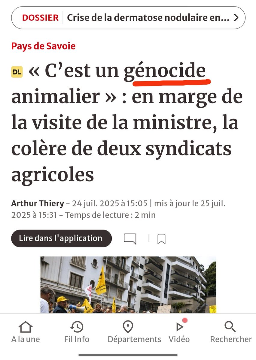 RosaBDB12's tweet image. Les éleveurs qui se rendent compte que c'est un problème d'abattre des animaux (ils disent ça pour les abattages préventifs en raison de la dermatose nodulaire)