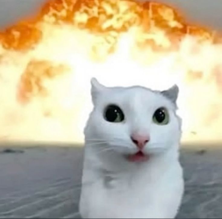 Brykisheaven's tweet image. 3 followers away from 900..................terrifying......