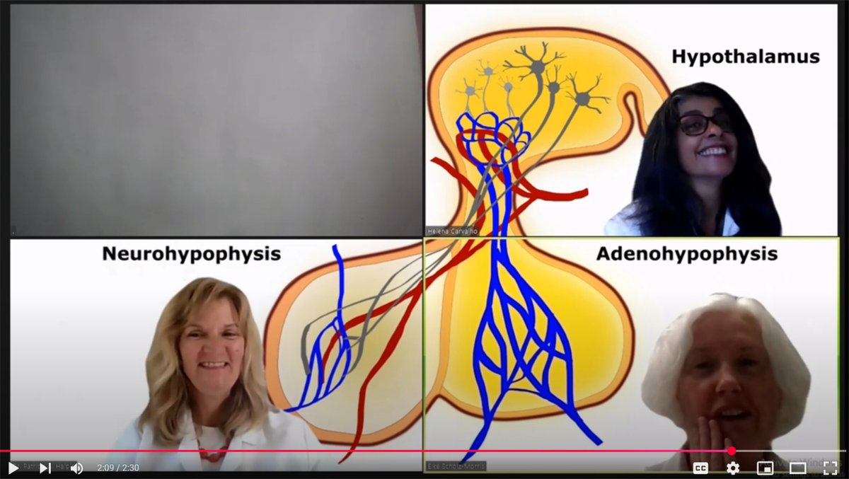 Advances in Physiology Education (@advphysioleduc) on Twitter photo Check out this #TeachingInnovations article from <a href="/AdvPhysiolEduc/">Advances in Physiology Education</a>, Introducing and validating DramaZoom as a teaching tool for diverse student populations
Helena Carvalho, et al.
🖱️ow.ly/Urxg50WqKOn
#dramatization #personification <a href="/BSCIProf/">Dr. Patricia A. Halpin, FAPS</a> <a href="/vtcsom/">Virginia Tech Carilion School of Medicine</a> Check out this #TeachingInnovations article from <a href="/AdvPhysiolEduc/">Advances in Physiology Education</a>, Introducing and validating DramaZoom as a teaching tool for diverse student populations
Helena Carvalho, et al.
🖱️ow.ly/Urxg50WqKOn
#dramatization #personification <a href="/BSCIProf/">Dr. Patricia A. Halpin, FAPS</a> <a href="/vtcsom/">Virginia Tech Carilion School of Medicine</a>