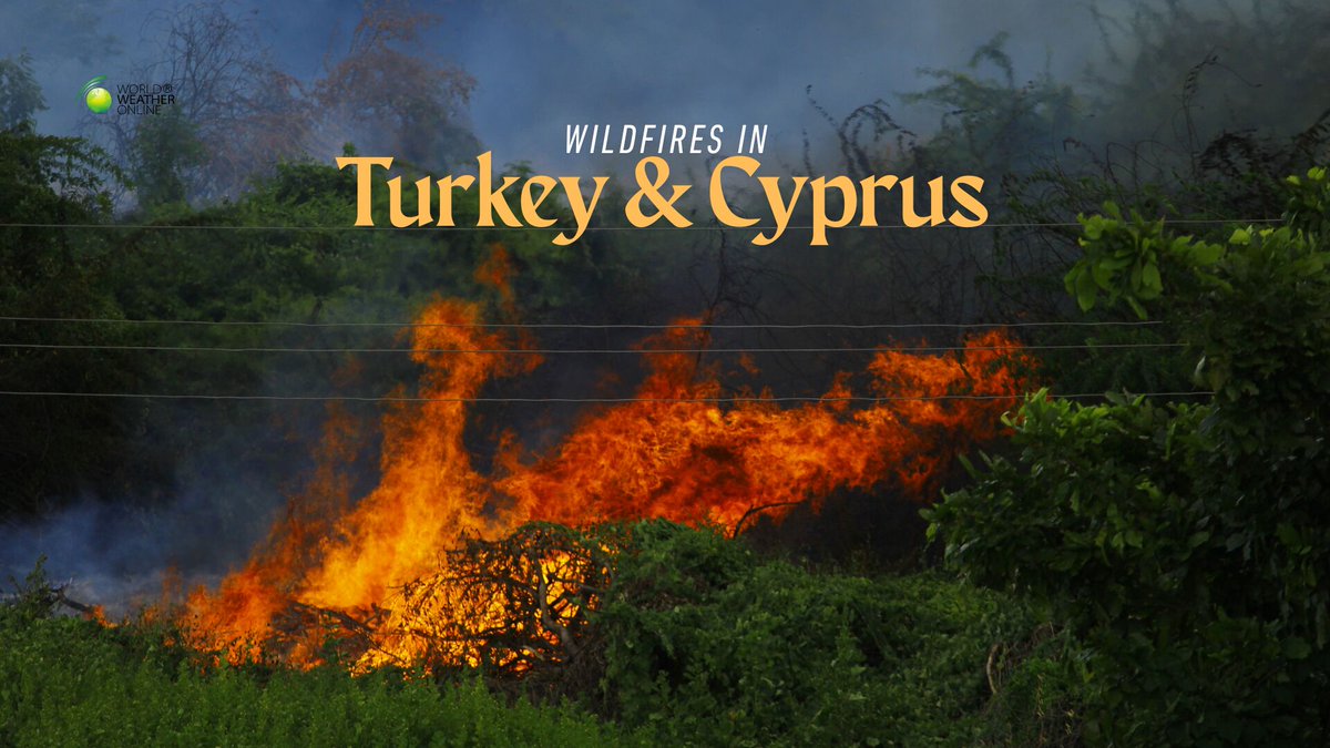 Heatwaves Fuelled Wildfires in Cyprus and Turkey: A scorching Mediterranean heatwave has turned Cyprus and Turkey into firestorms, igniting devastating wildfires in Cyprus and Turkey. With temperature dlvr.it/TM8fpx