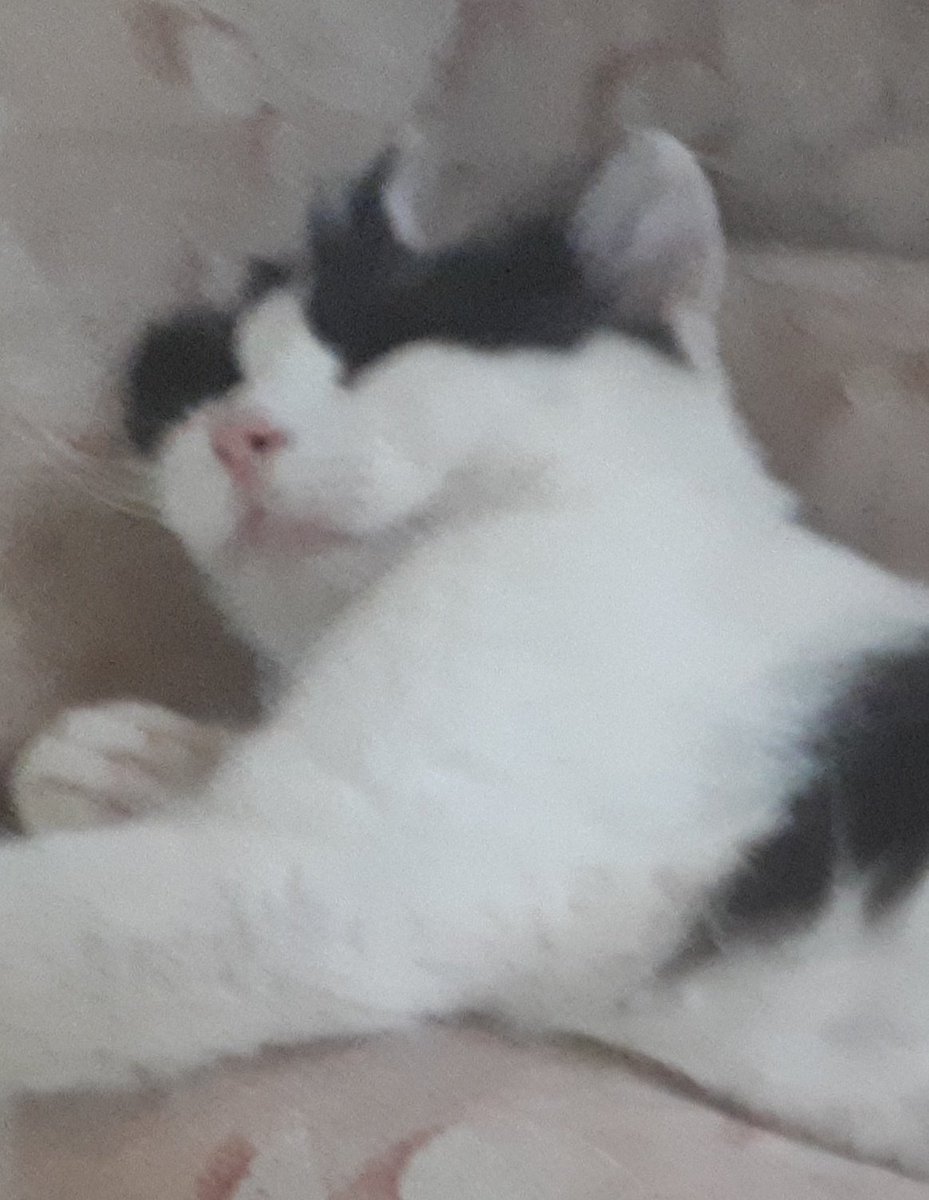 yelsip_'s tweet image. Por qué cuando mi sueño está interesanteelijo seguir durmiendo... llegué tarde al trabajo