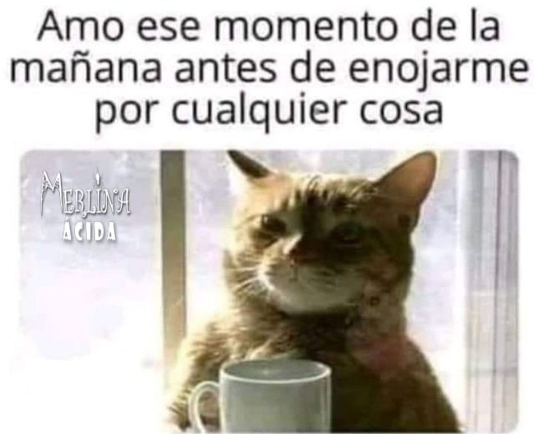 Magusca's tweet image. Buen día muchachada 💕 
Lunes, que nos sea leve!