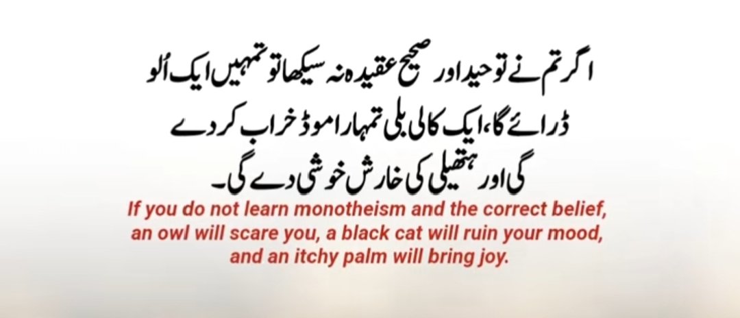 muneeb_sob85523's tweet image. 100%