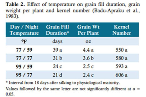 Cooler weather on the way!!

Everyone including our crops will enjoy the cooler weather.  We know corn is driven by GDU's.  The warmer it is the few days spent in grain fill, which means fewer days of converting solar radiation into sugars (ie YIELD).

The forecast of cooler