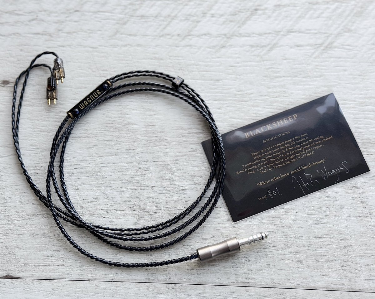 Limited works♈️

"BLACK SHEEP"

トープラ販売製 CINQBES 純銅材 銀ストレートメッキ 4.4mm 5極プラグ FitEar type

ブラックラブラドライト・ダブル装飾