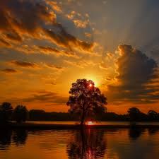Good morning, you wonderful people. I hope you all have a blessed day.
