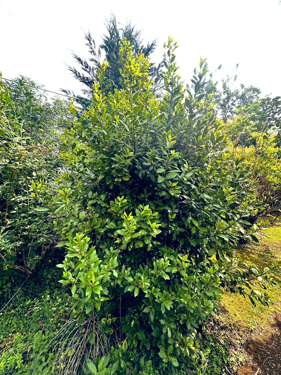 John Simper FRSA tweet media