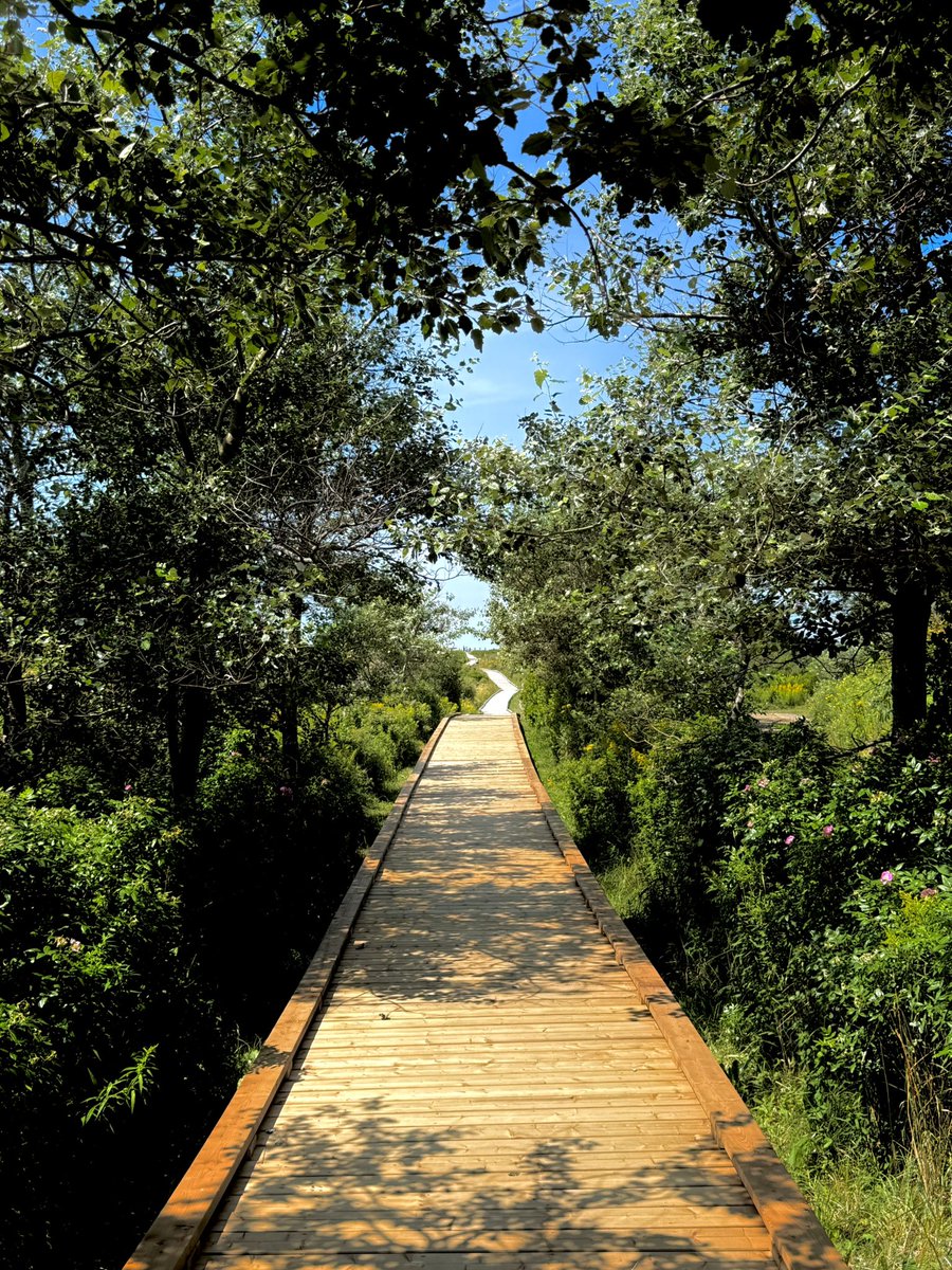 Mattpetti32's tweet image. Some shots I took yesterday at Inverness Beach Village in Cape Breton