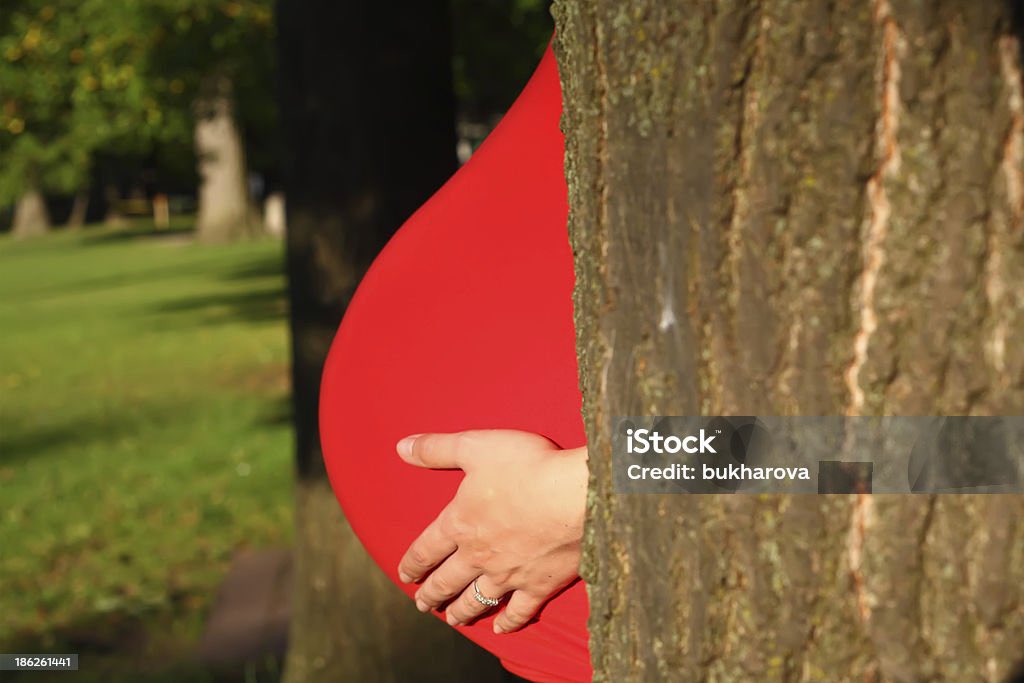 Rhys davies tweet media