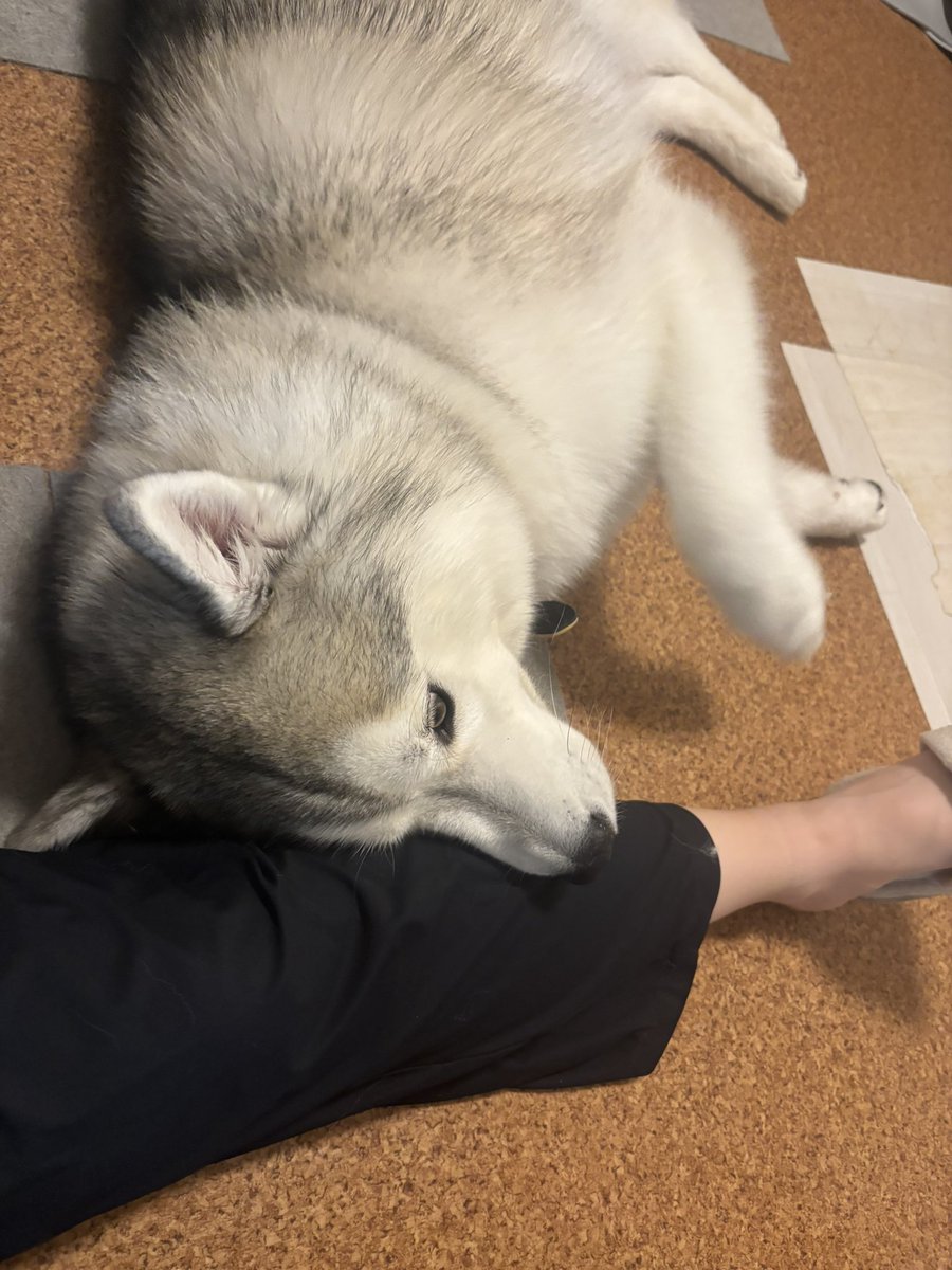 rn2312412's tweet image. 