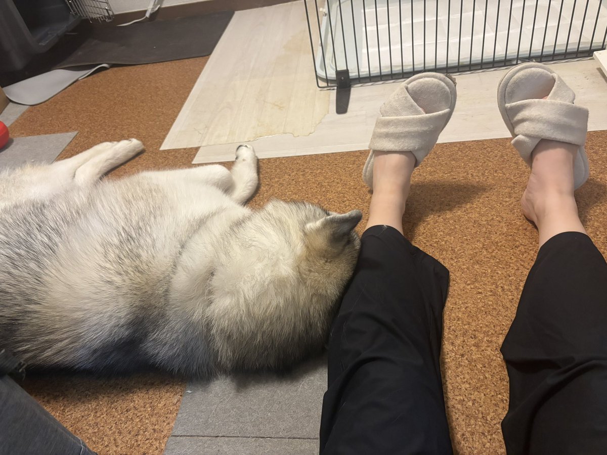 rn2312412's tweet image. 