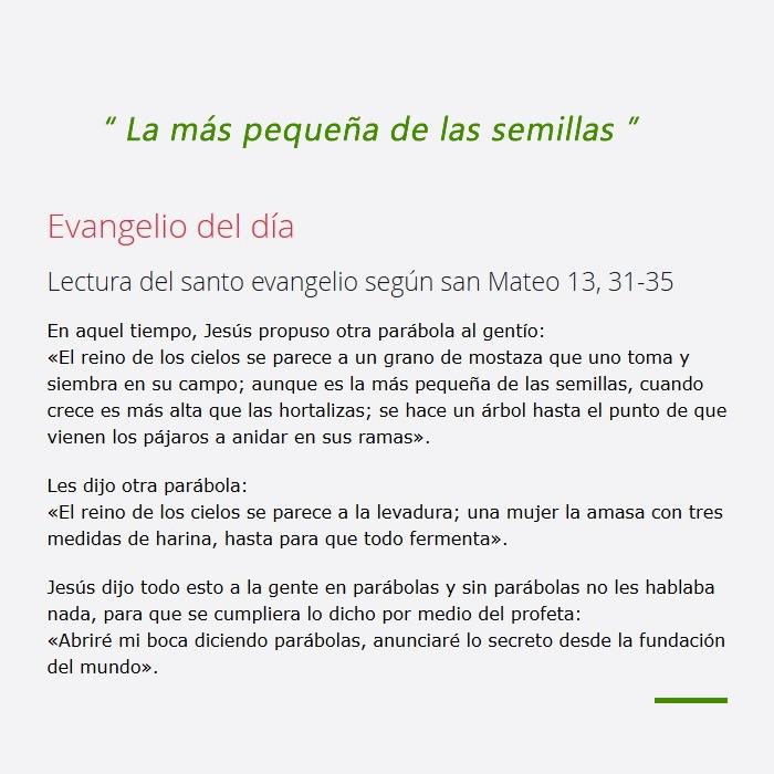 𝗗𝗶𝗼𝘀 𝘀𝗮𝗹𝘃𝗮 𝗮𝗹 𝗺𝘂𝗻𝗱𝗼 ❤️
Evangelio de hoy 🙏 lunes, 28 de julio de 2025