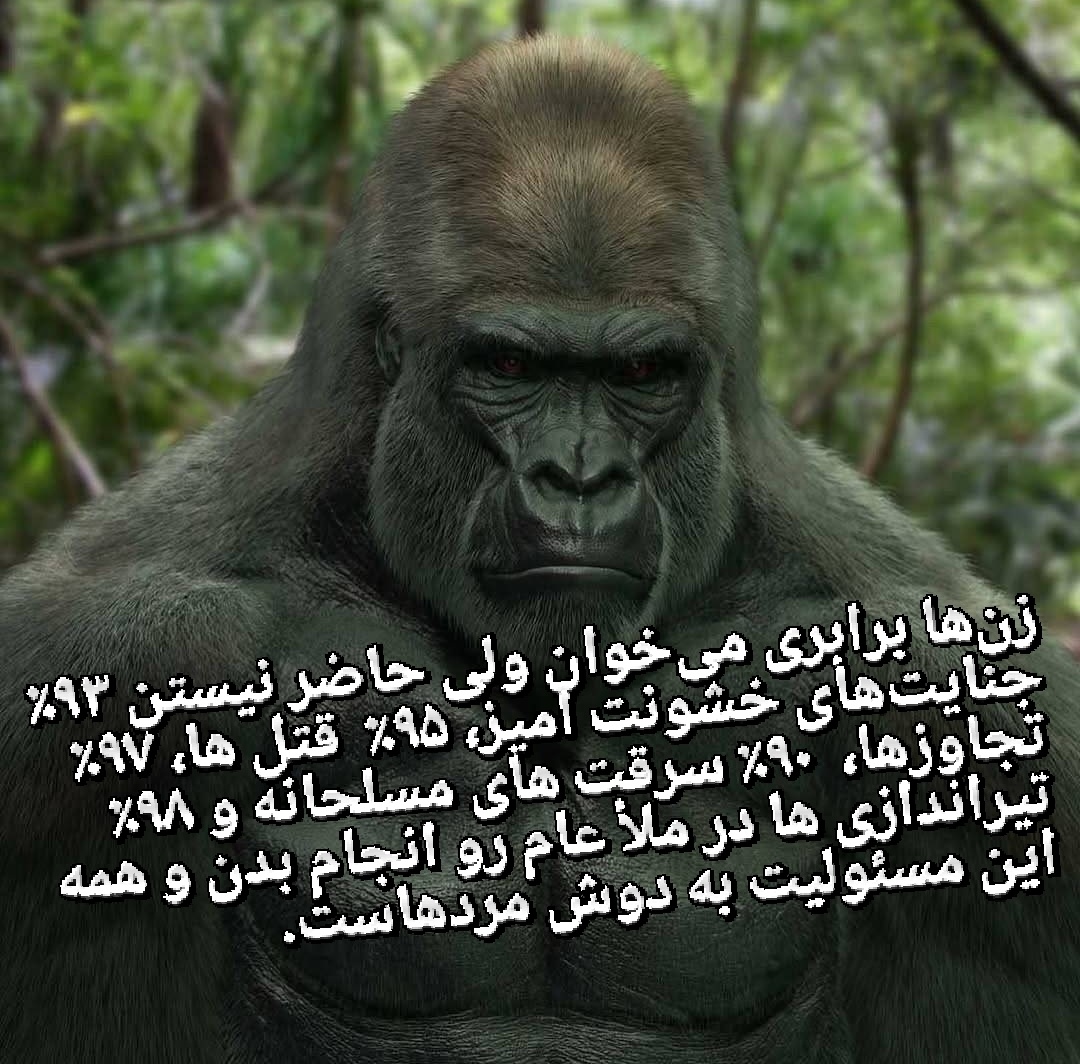 Silmaethdante's tweet image. خرد گوریلی 🦍
ترجمه شده
