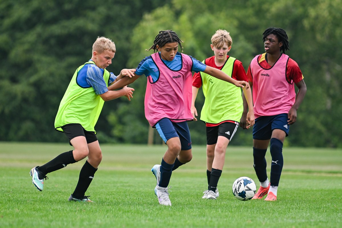 MC Sport tweet media