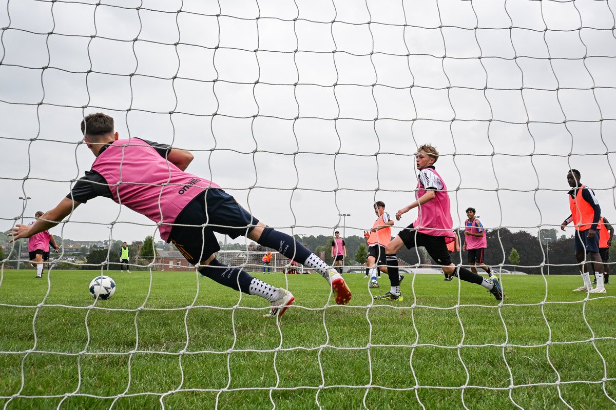 MC Sport tweet media