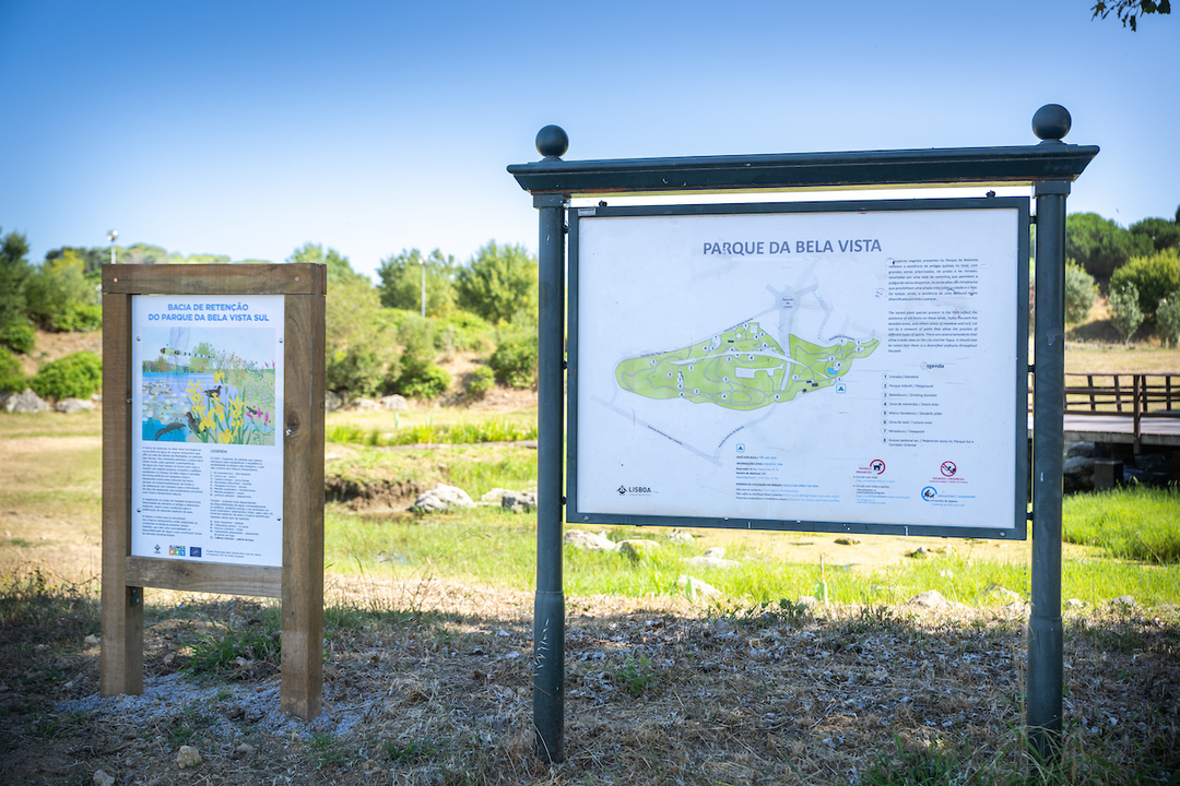 There is a new temporary pond at the Bela Vista Retention Basin. This ensures that water remains for a longer time and ensures a suitable habitat for animal species and aquatic plants. 🌱📷 #Lisbon #lifelungs
<a href="/CamaraLisboa/">Lisboa</a>
<a href="/LIFEprogramme/">LIFE Programme</a>
