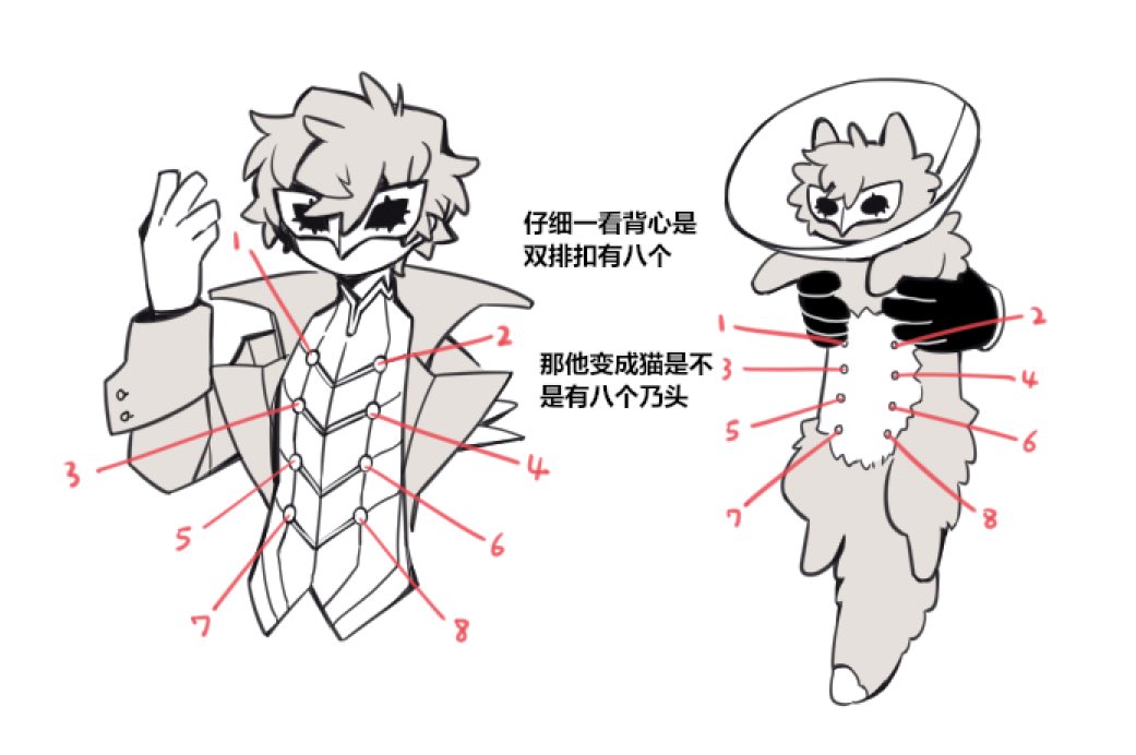 在想猫乃头的事