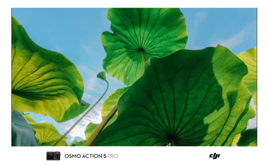 DJIJAPAN's tweet image. 💡 逆転の発想で蓮を撮る
Osmo Action 5 Proだからこそ実現できた
水中からの革命的アングル🎥

🎬：摄影师韩瓜皮