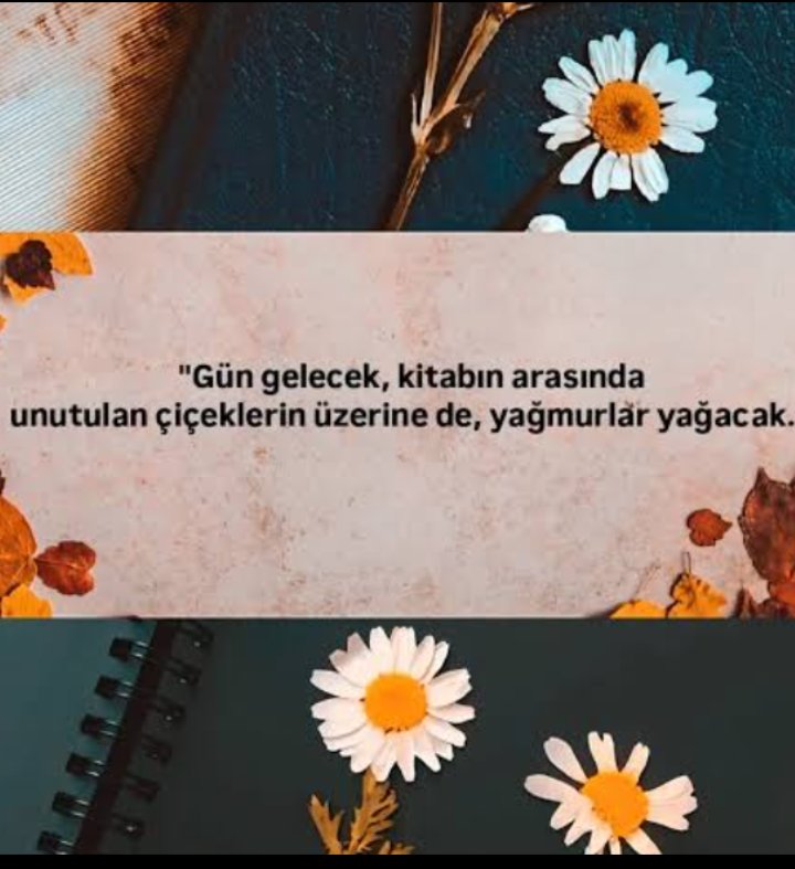 Umut ve zerafet....🙏👌✍️ Yolun yarısını cokkk uzun yıllar önce geçmiş olsak da...