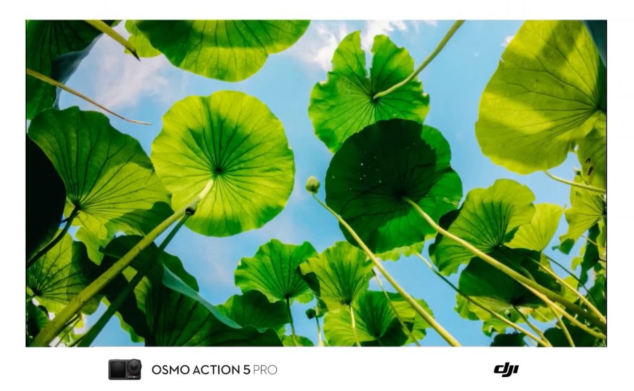 DJIJAPAN's tweet image. 💡 逆転の発想で蓮を撮る
Osmo Action 5 Proだからこそ実現できた
水中からの革命的アングル🎥

🎬：摄影师韩瓜皮