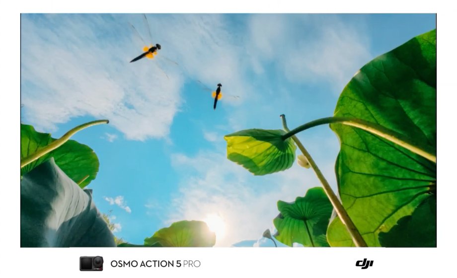 DJIJAPAN's tweet image. 💡 逆転の発想で蓮を撮る
Osmo Action 5 Proだからこそ実現できた
水中からの革命的アングル🎥

🎬：摄影师韩瓜皮