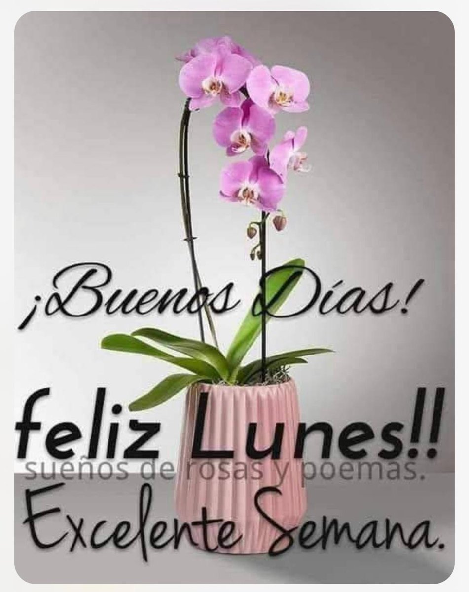 Buenos días feliz lunes mi querida amiga <a href="/chelom30/">💫Chelo💫</a> que Dios nos bendiga siempre fuerte abrazo y claro acompañado de café siempre siempre café