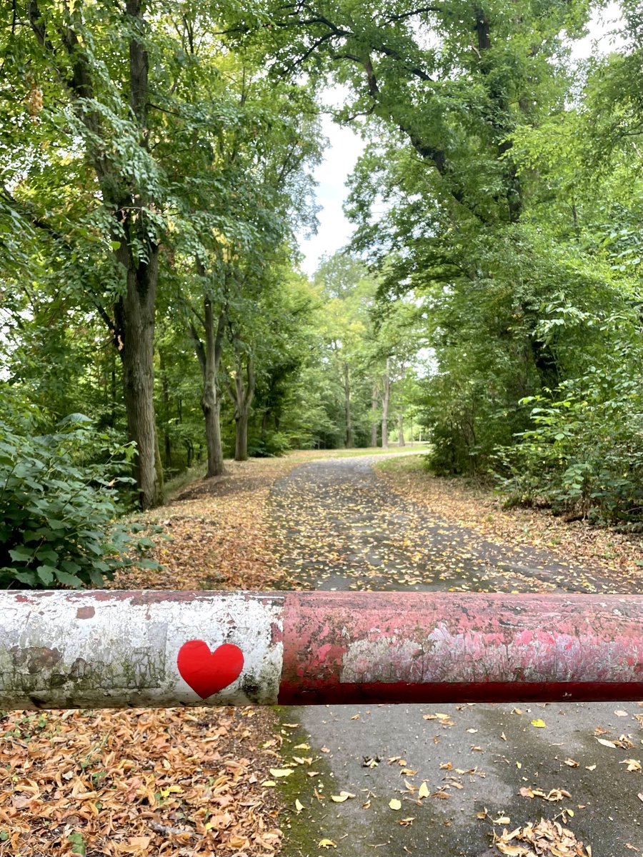 Silabrei's tweet image. #showheart
#Montagsherz 
Heute auf meiner kleinen Wanderung entdeckt.