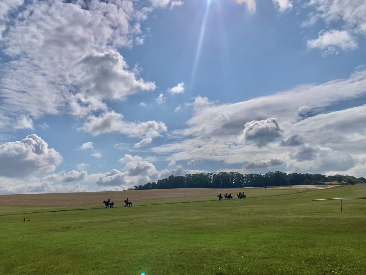 JohnWathenBerry's tweet image. Great skies this morning @NewmarketGallop. @AlfredMunnings would have loved it.