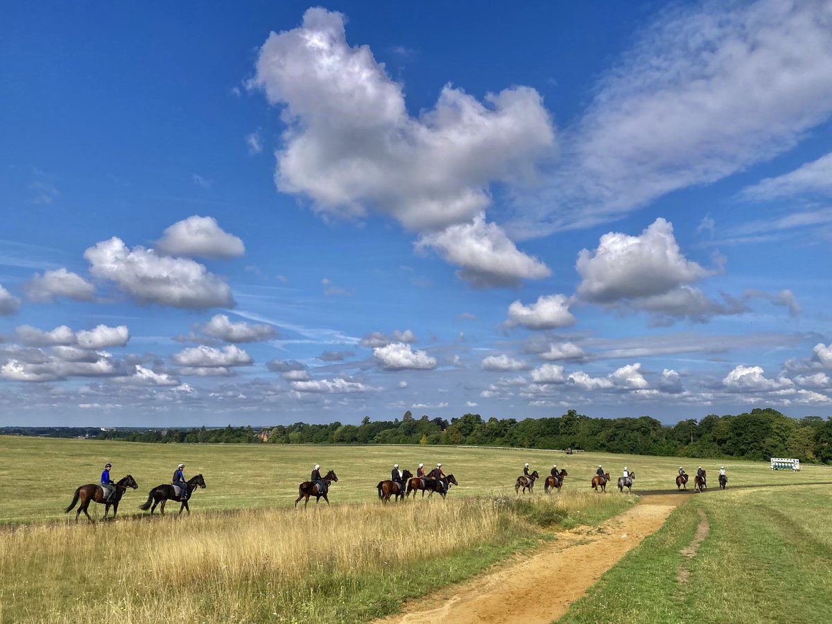 JohnWathenBerry's tweet image. Great skies this morning @NewmarketGallop. @AlfredMunnings would have loved it.